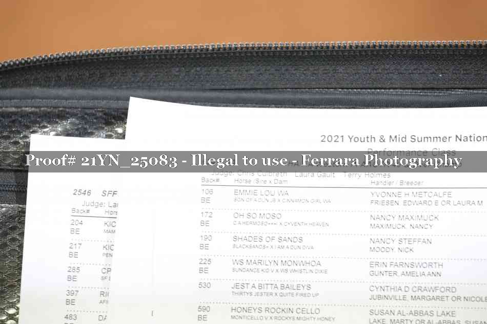 Proof 21YN_25083