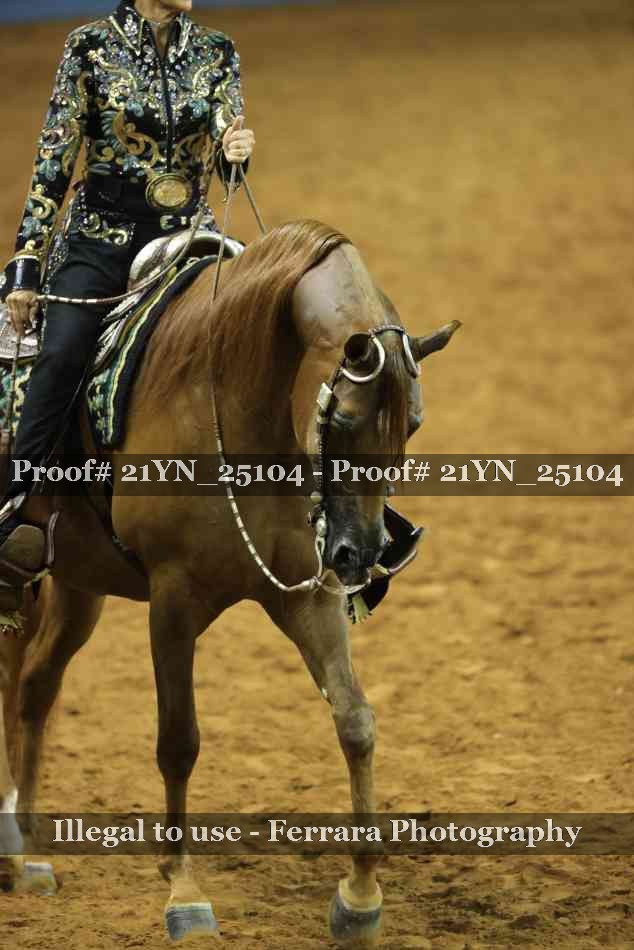 Proof 21YN_25104