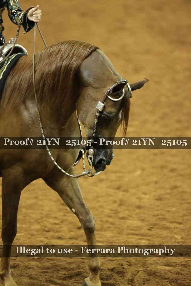 Proof 21YN_25105