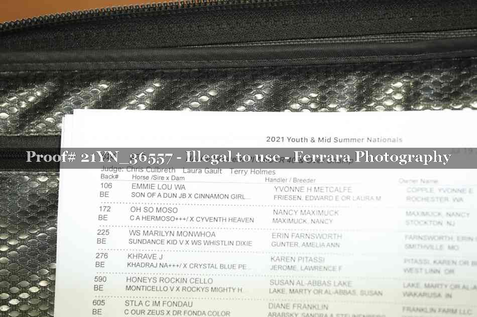 Proof 21YN_36557