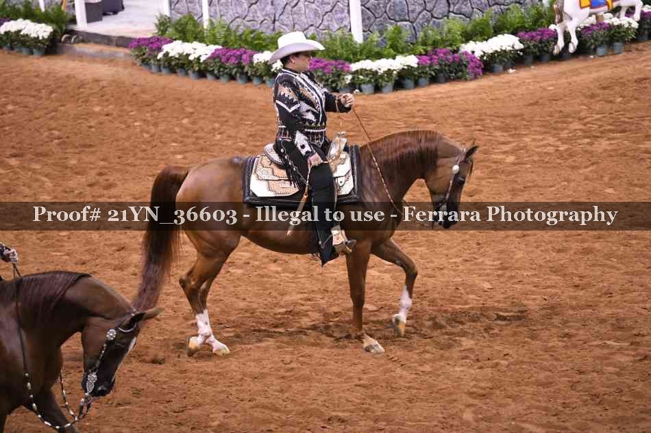 Proof 21YN_36603