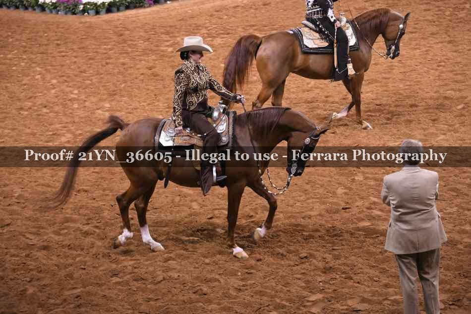Proof 21YN_36605
