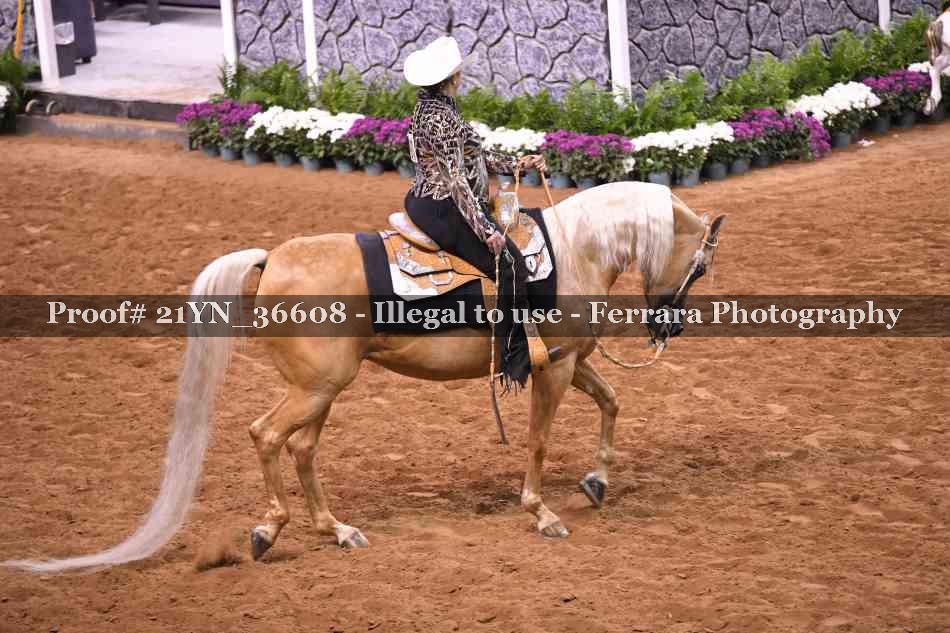 Proof 21YN_36608
