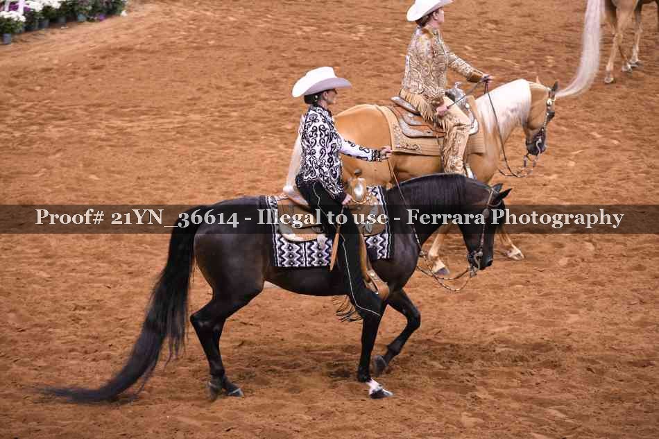 Proof 21YN_36614