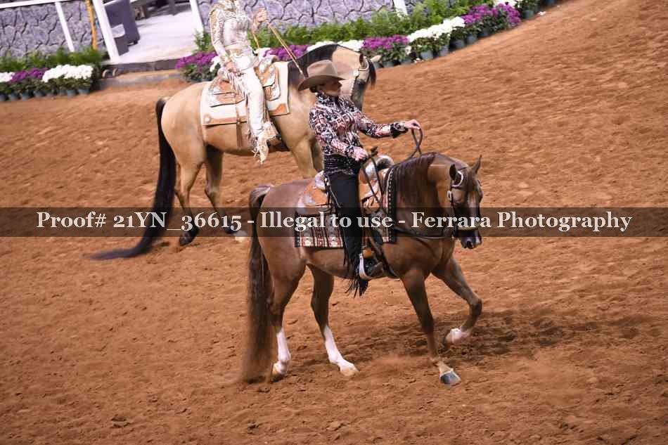 Proof 21YN_36615