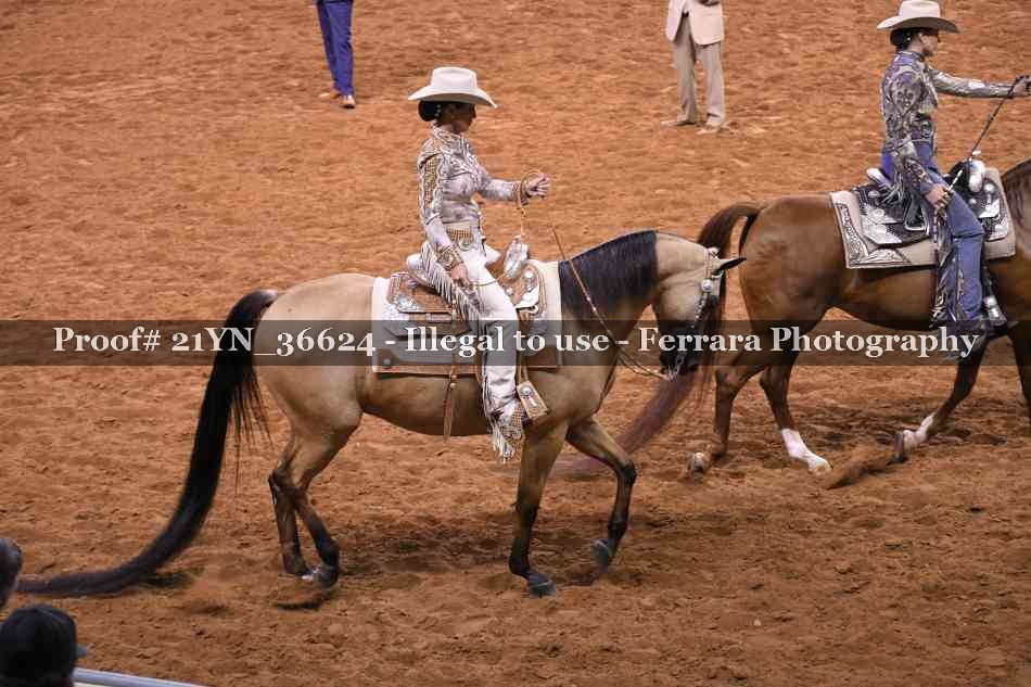 Proof 21YN_36624