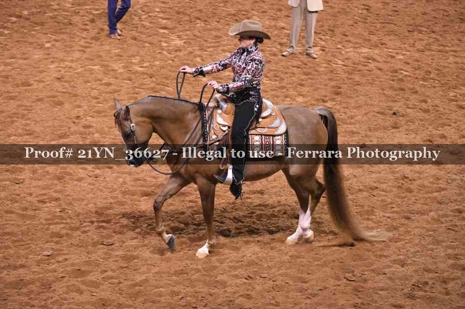 Proof 21YN_36627
