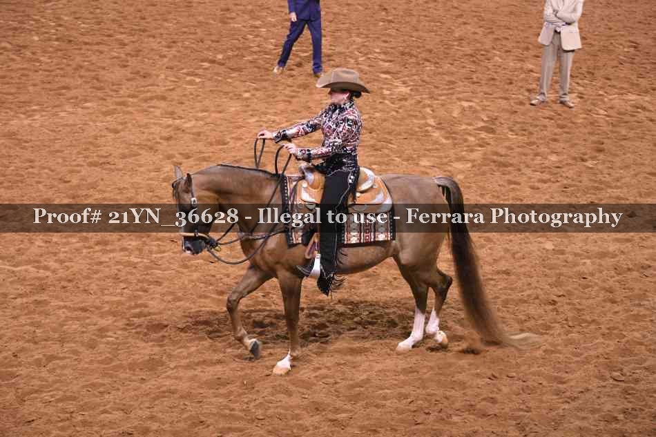 Proof 21YN_36628