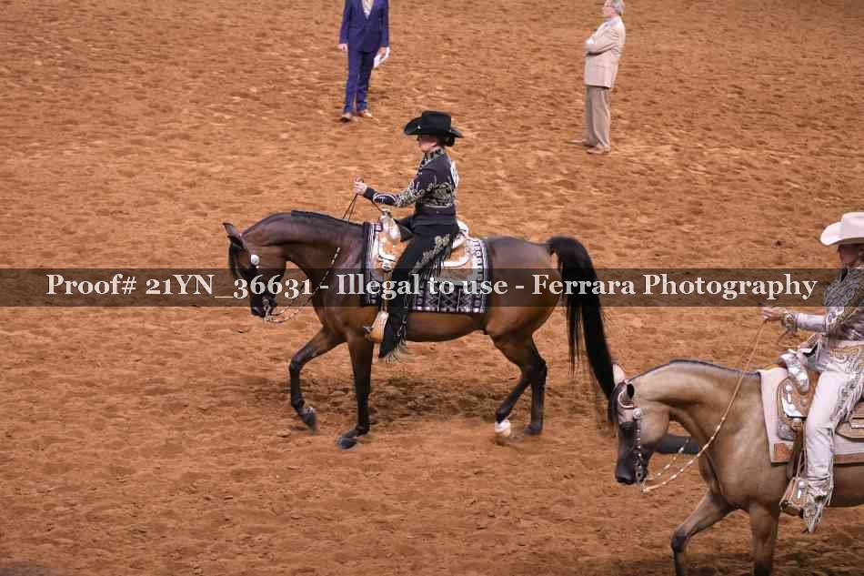 Proof 21YN_36631