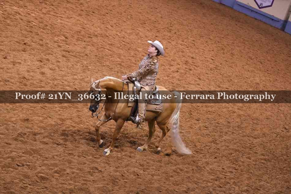 Proof 21YN_36632