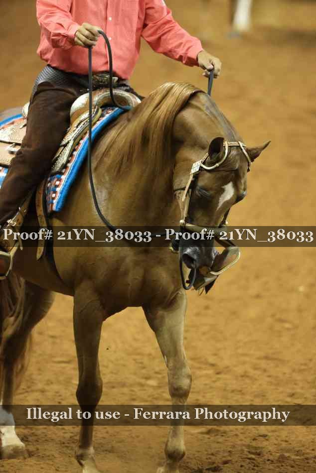 Proof 21YN_38033
