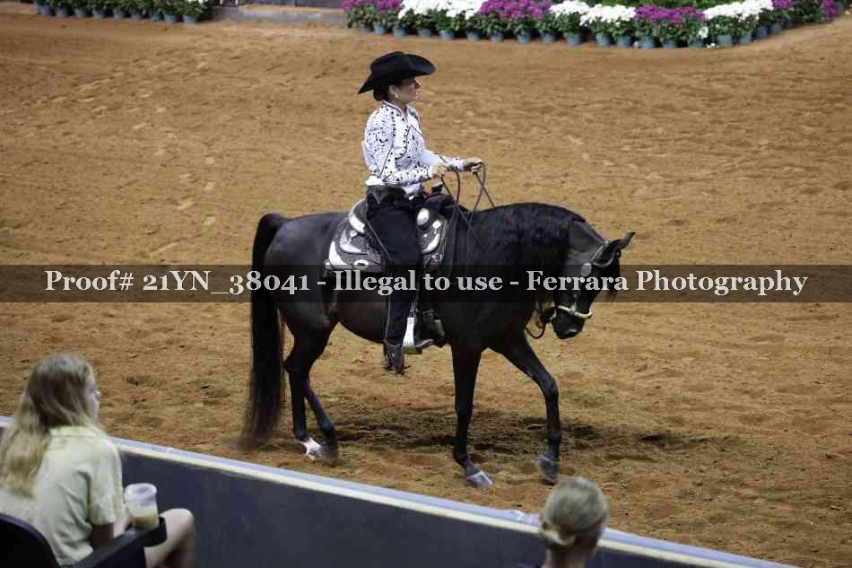 Proof 21YN_38041