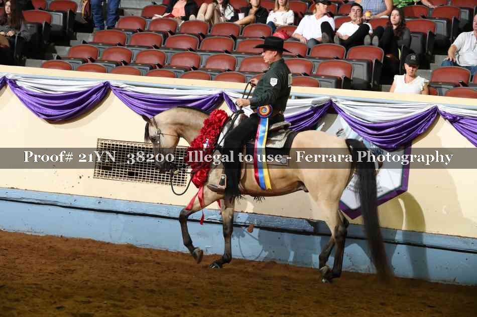 Proof 21YN_38200