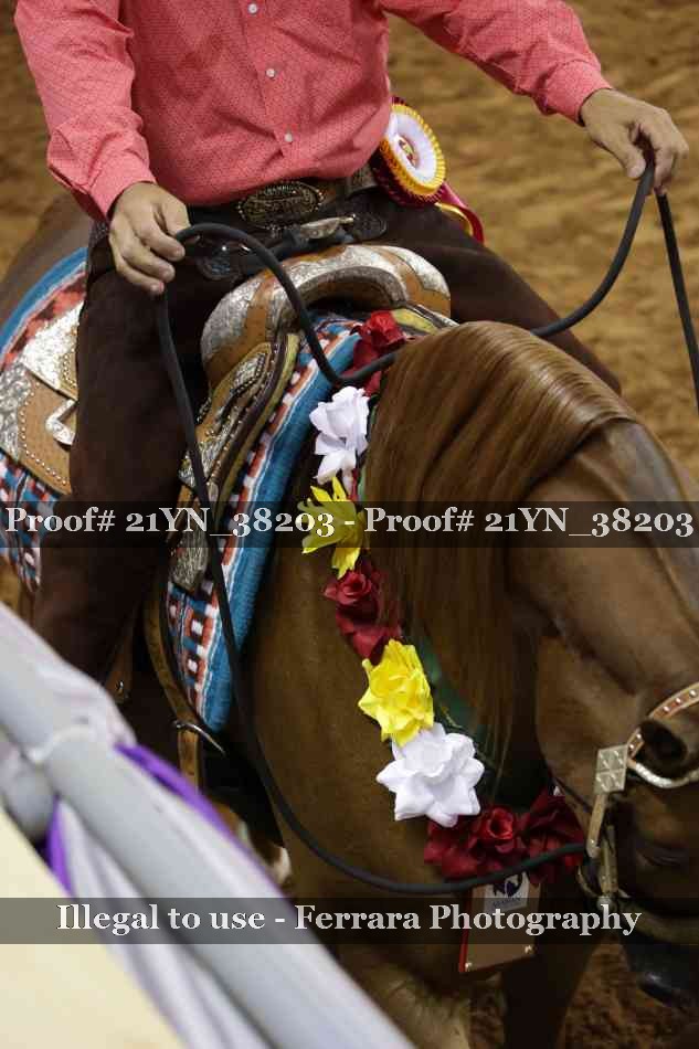 Proof 21YN_38203