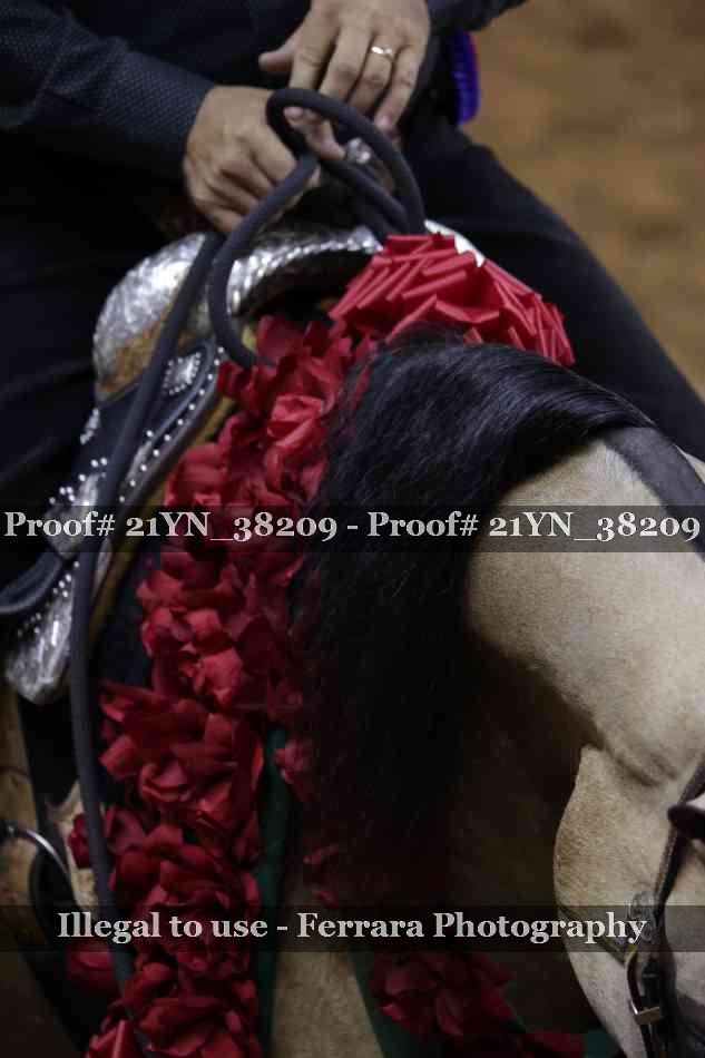 Proof 21YN_38209
