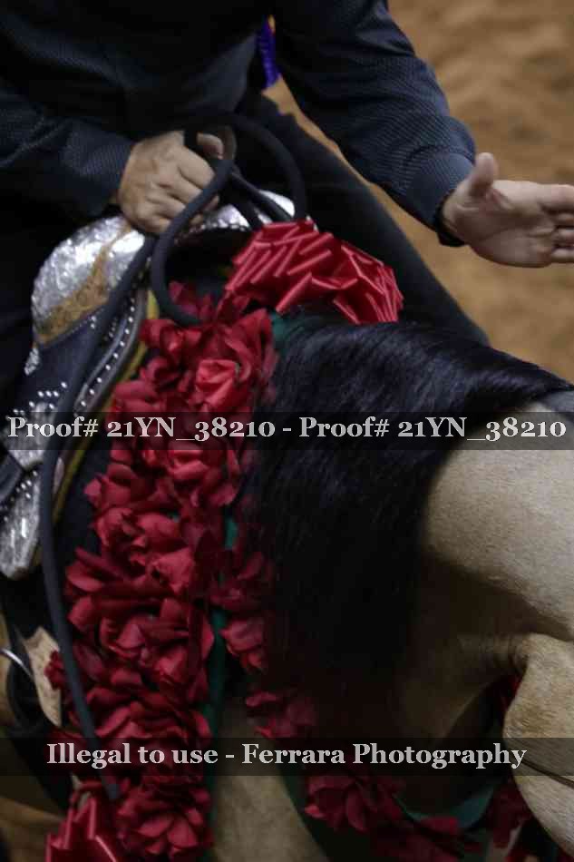 Proof 21YN_38210