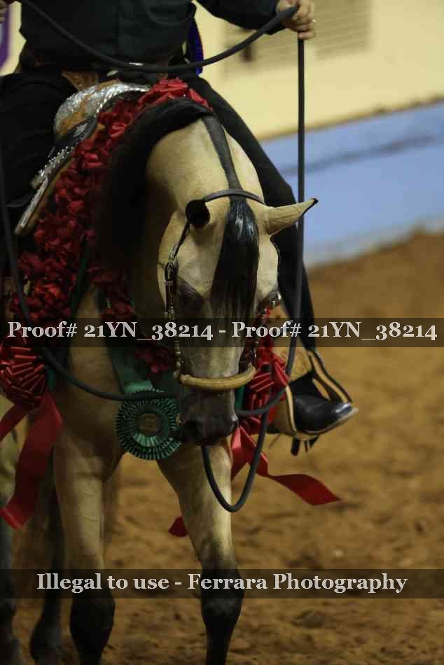 Proof 21YN_38214