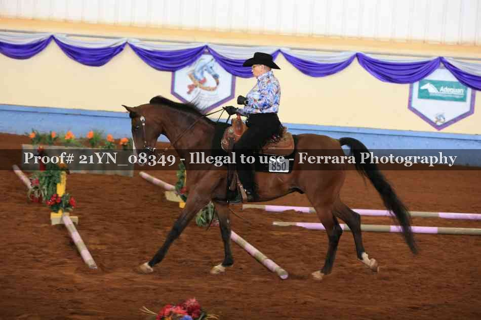 Proof 21YN_08349