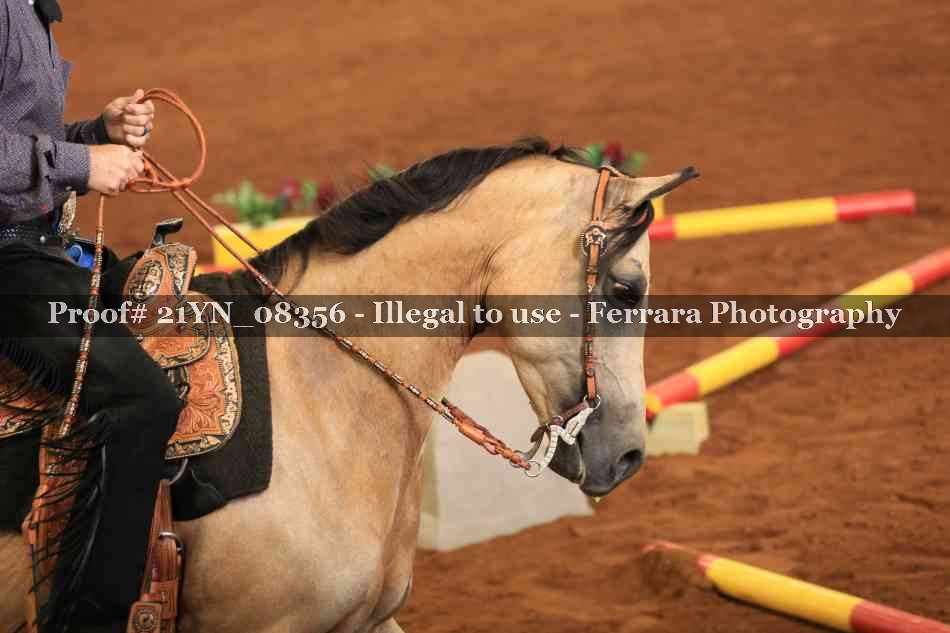 Proof 21YN_08356