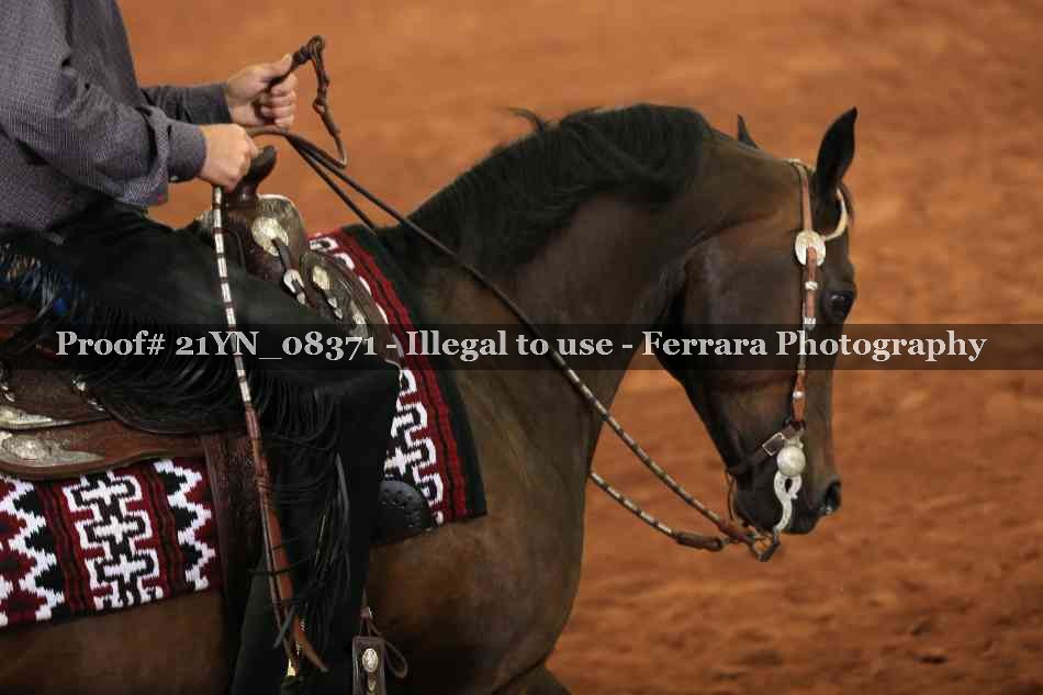 Proof 21YN_08371