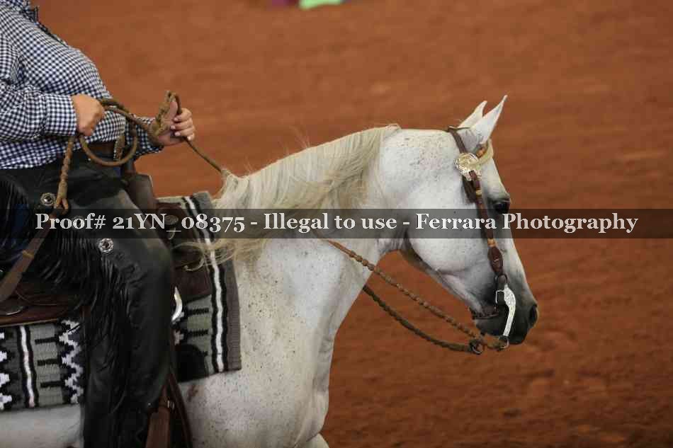 Proof 21YN_08375