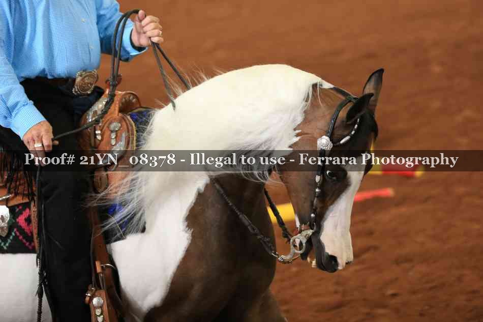 Proof 21YN_08378