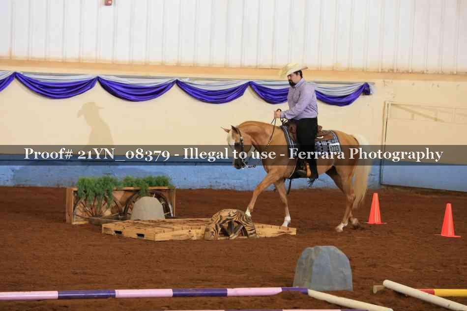 Proof 21YN_08379