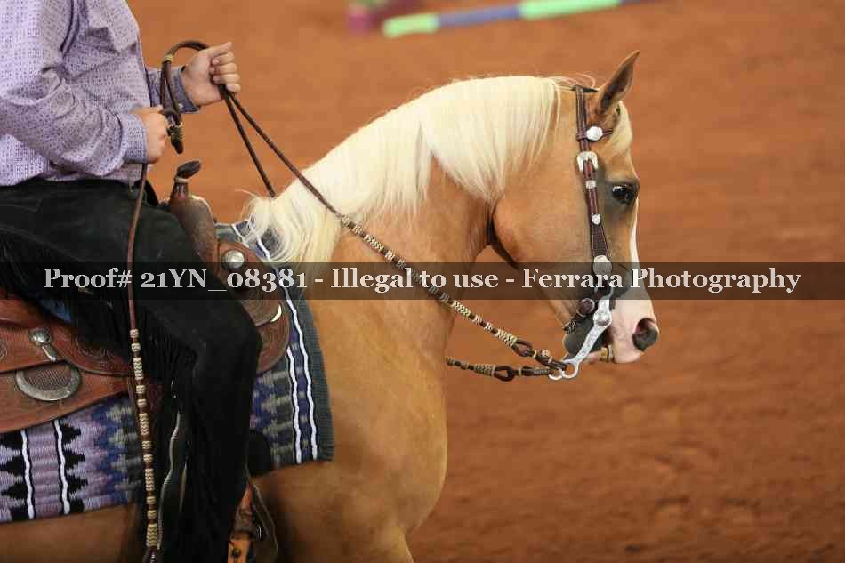 Proof 21YN_08381