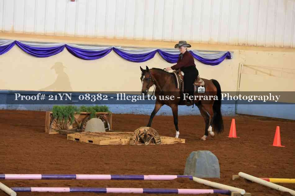 Proof 21YN_08382