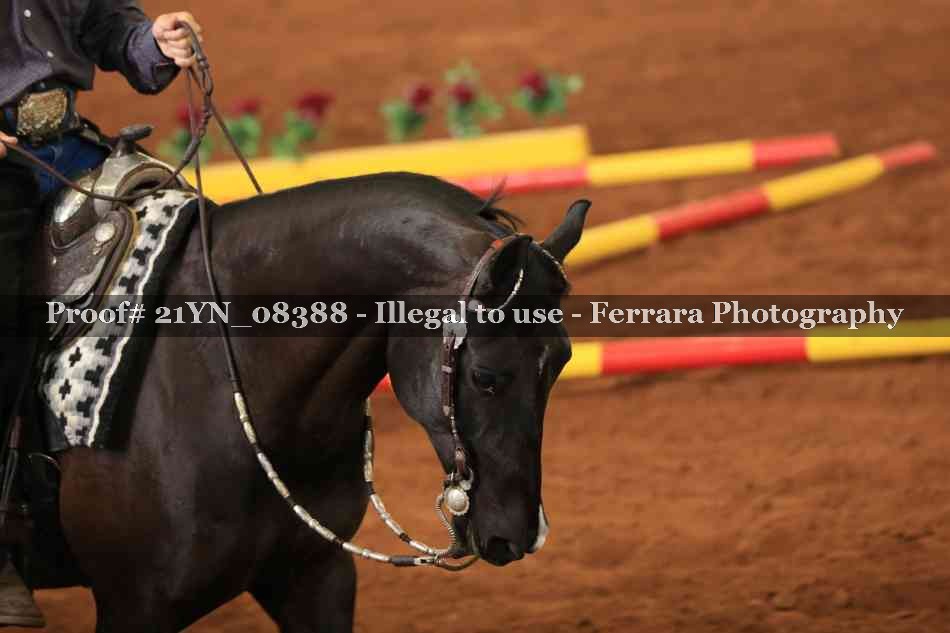 Proof 21YN_08388