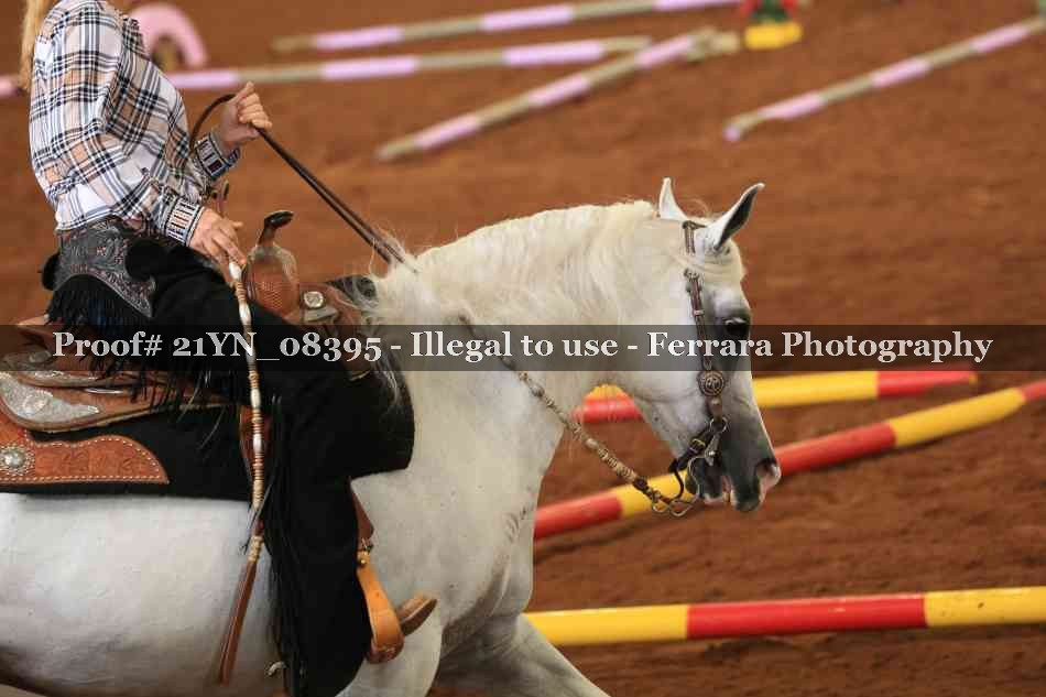 Proof 21YN_08395