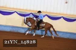 21YN_14828 proof