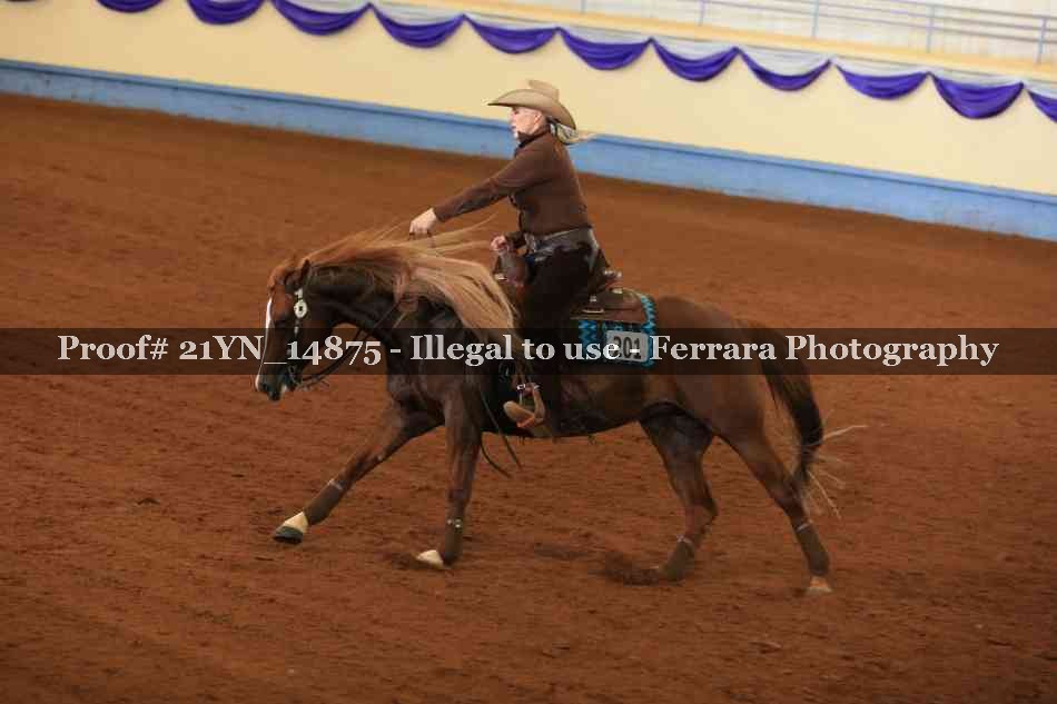 Proof 21YN_14875