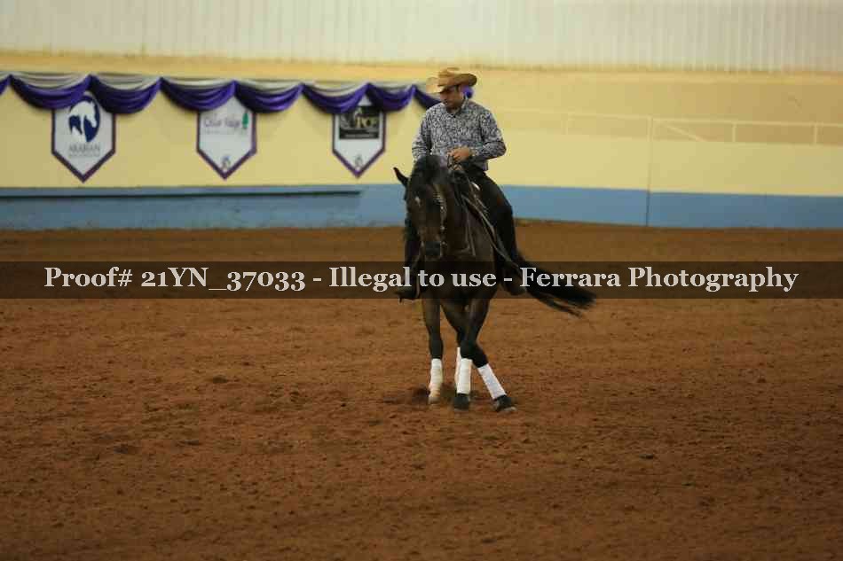 Proof 21YN_37033