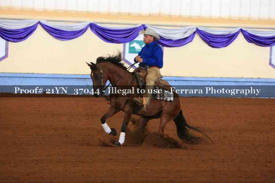 Proof 21YN_37044