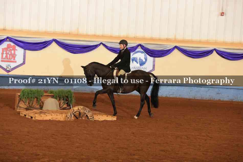 Proof 21YN_01108