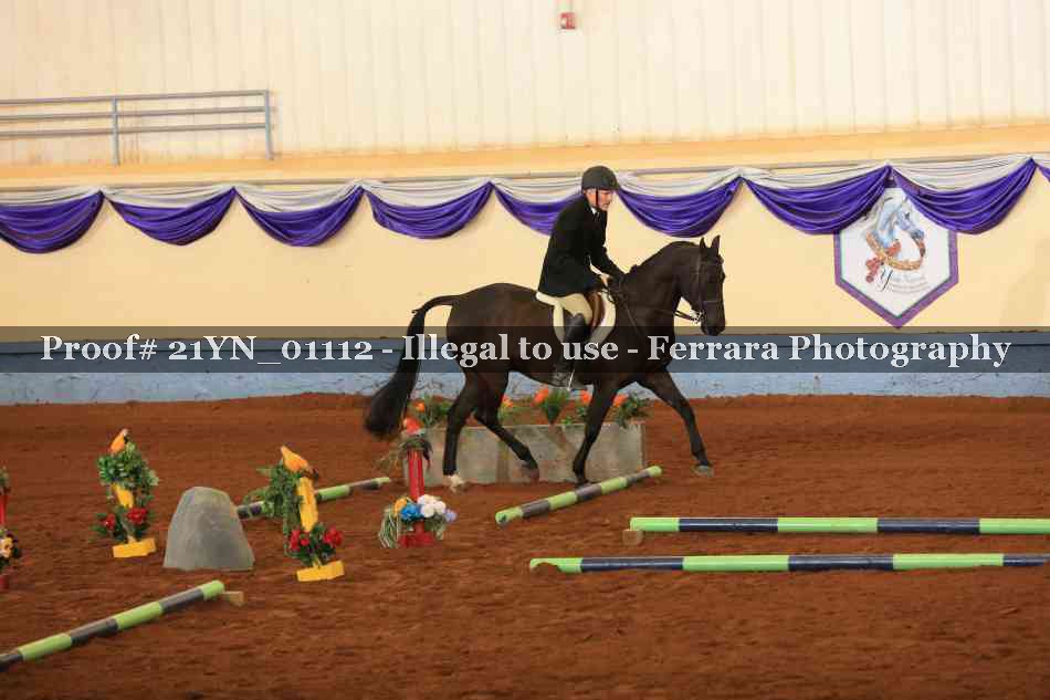 Proof 21YN_01112