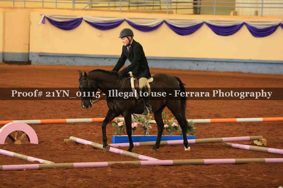 Proof 21YN_01115