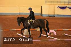 21YN_01117 proof