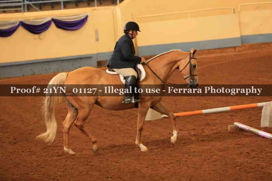 Proof 21YN_01127