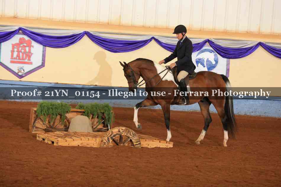 Proof 21YN_01154