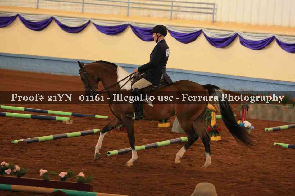 Proof 21YN_01161