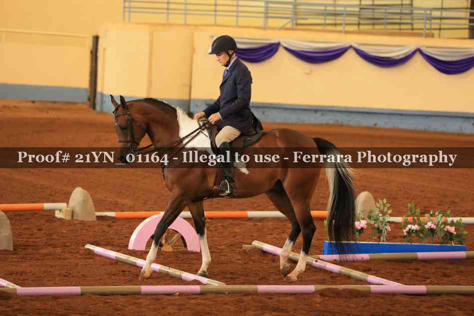 Proof 21YN_01164