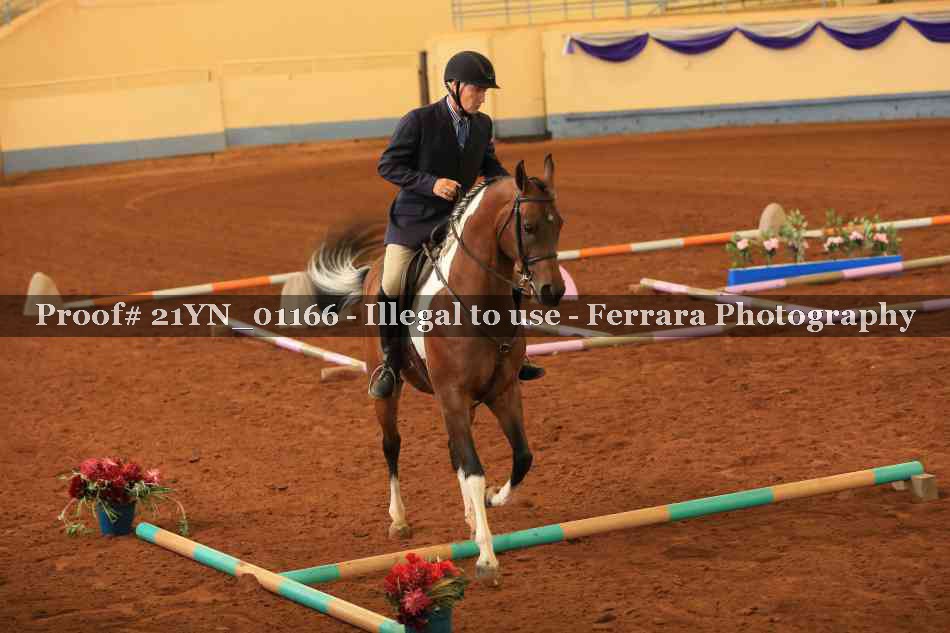 Proof 21YN_01166
