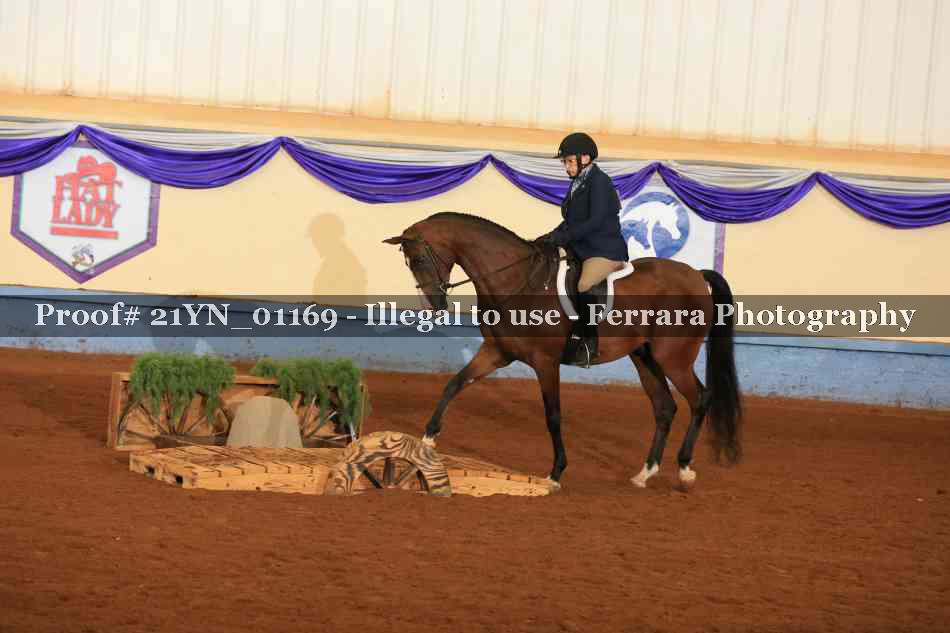 Proof 21YN_01169