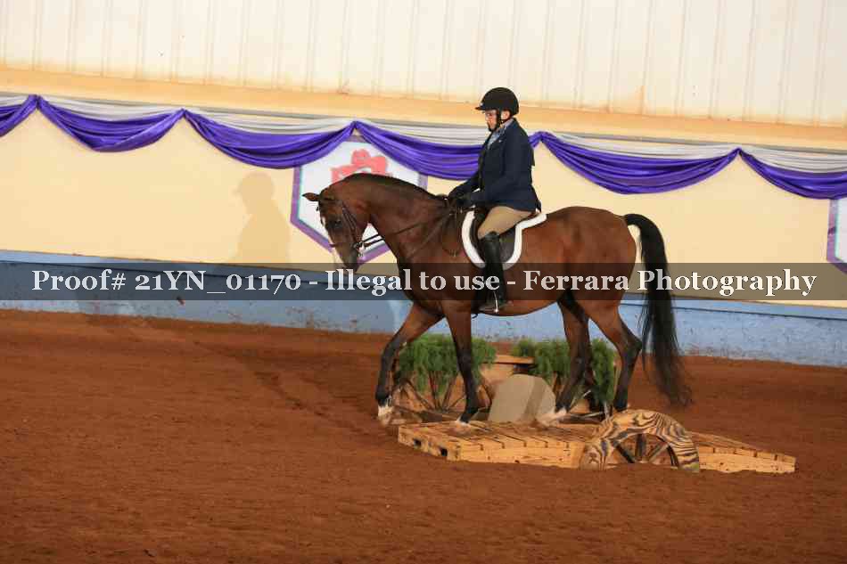Proof 21YN_01170