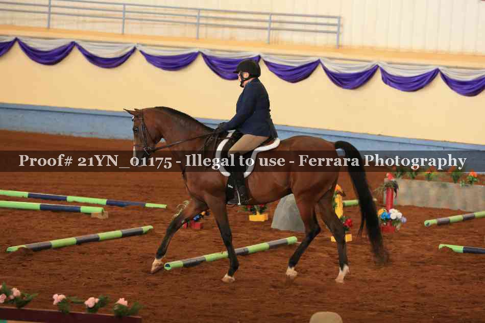 Proof 21YN_01175