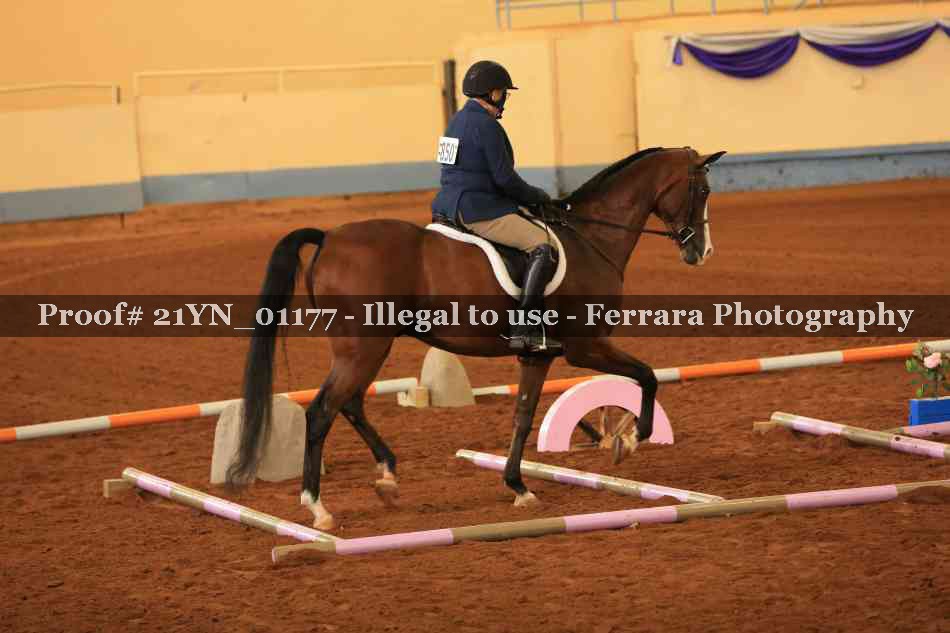 Proof 21YN_01177