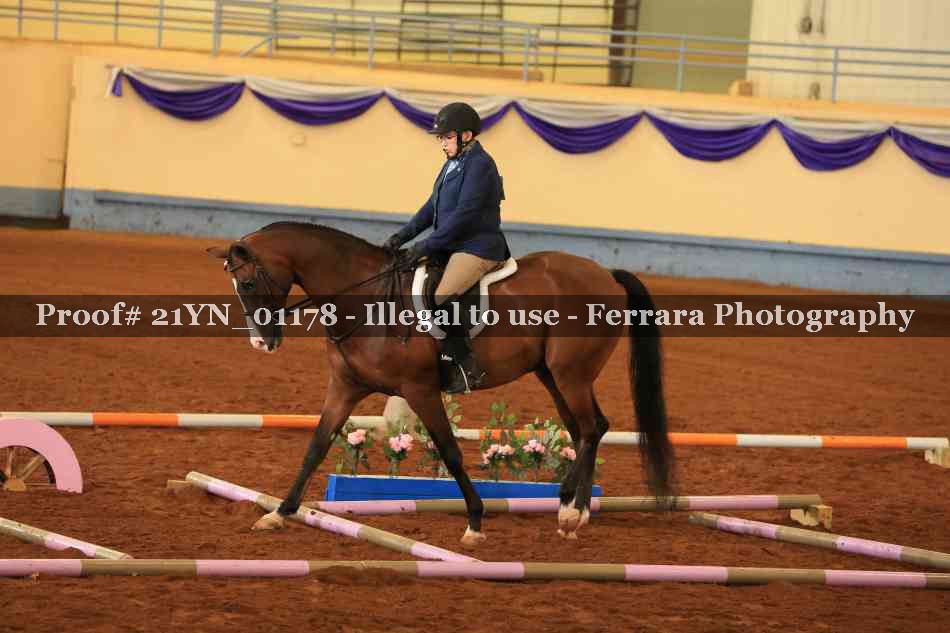 Proof 21YN_01178