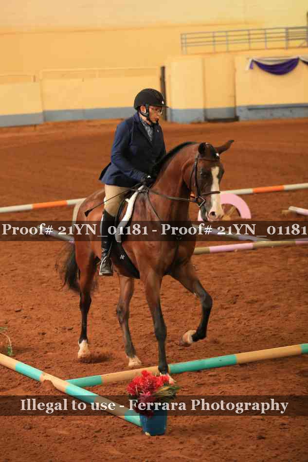 Proof 21YN_01181